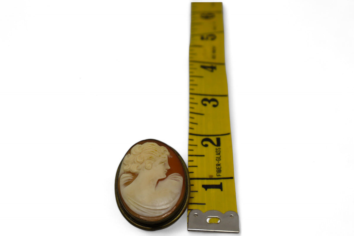Antique Cameo brooch or Pendant Framed in Brass.