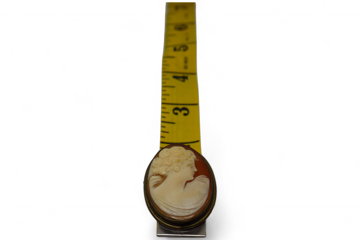 Antique Cameo brooch or Pendant Framed in Brass.