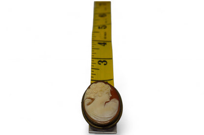 Antique Cameo brooch or Pendant Framed in Brass.